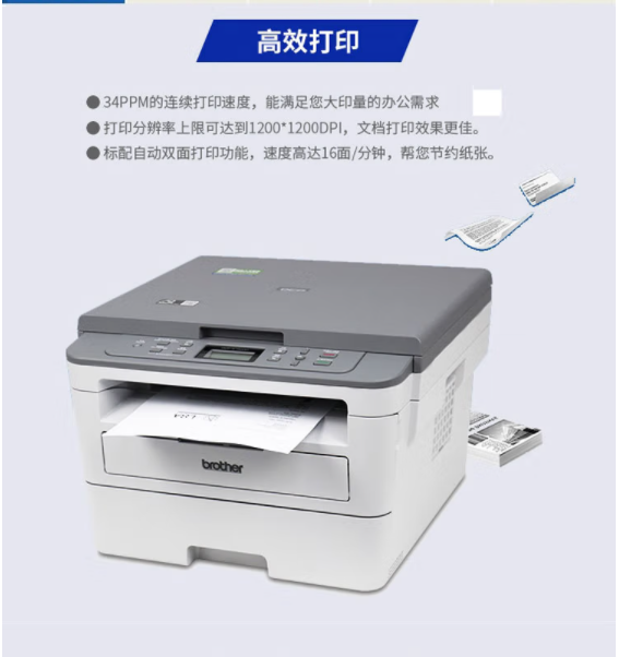 照片1.jpg