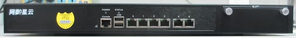网御星云/leadsec v3.0 Leadsec-5100IPS-BM 入侵防御设备 网御入侵防御系统（百兆）